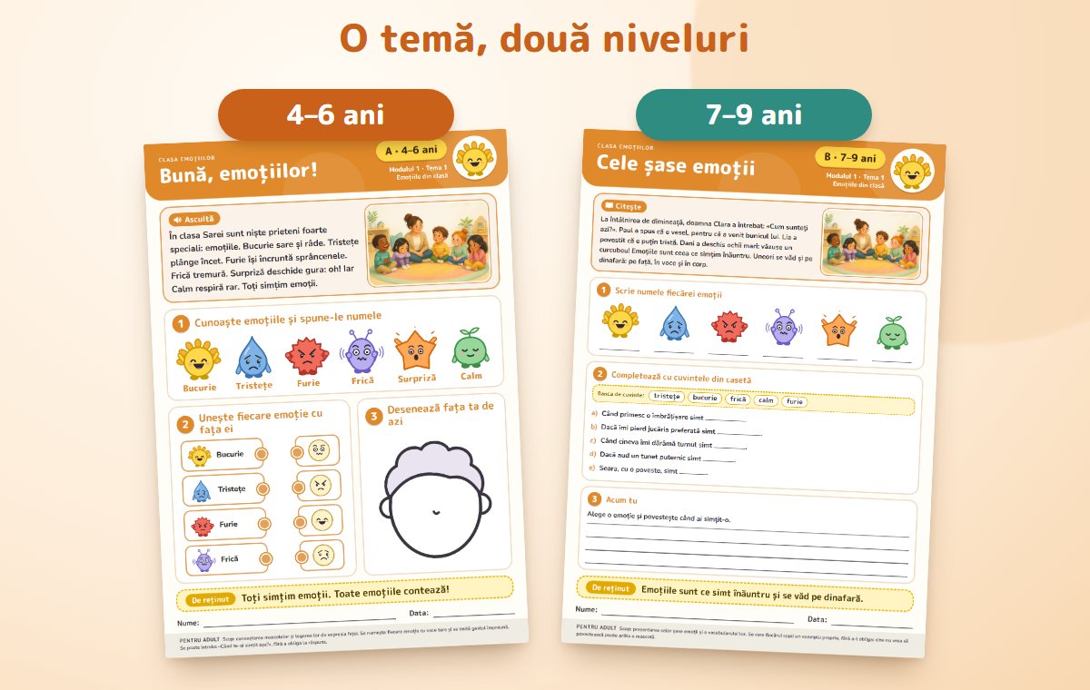 Fiecare temă, pe două niveluri